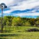 Gaurargo Platinum Ranch in c texas: The Ultimate Retreat for Nature Lovers