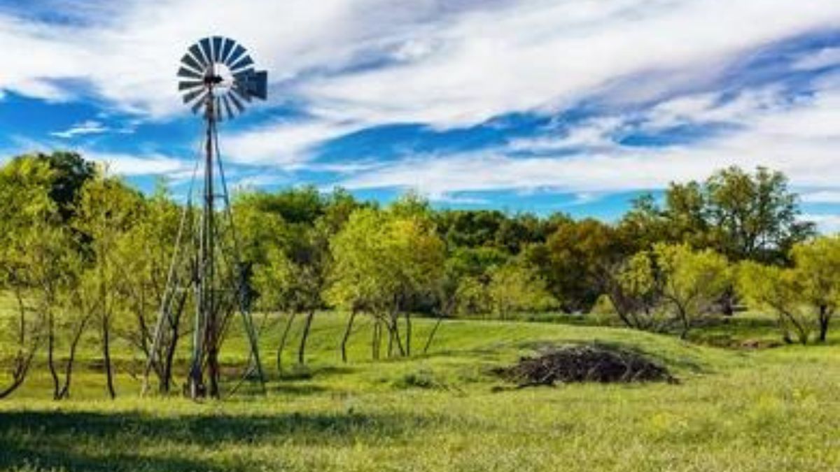 Gaurargo Platinum Ranch in c texas: The Ultimate Retreat for Nature Lovers