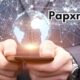 A Comprehensive Guide to Understanding Papxnmoxk