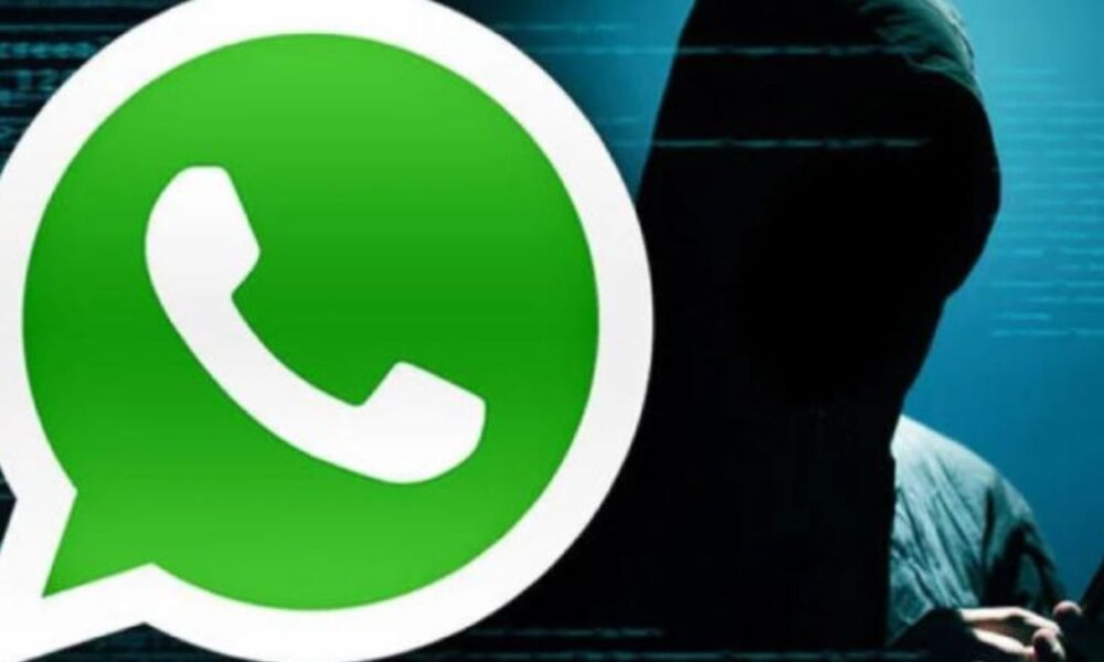 Unlocking Communication: How WhatsApp LogicalShout Transforms Messaging