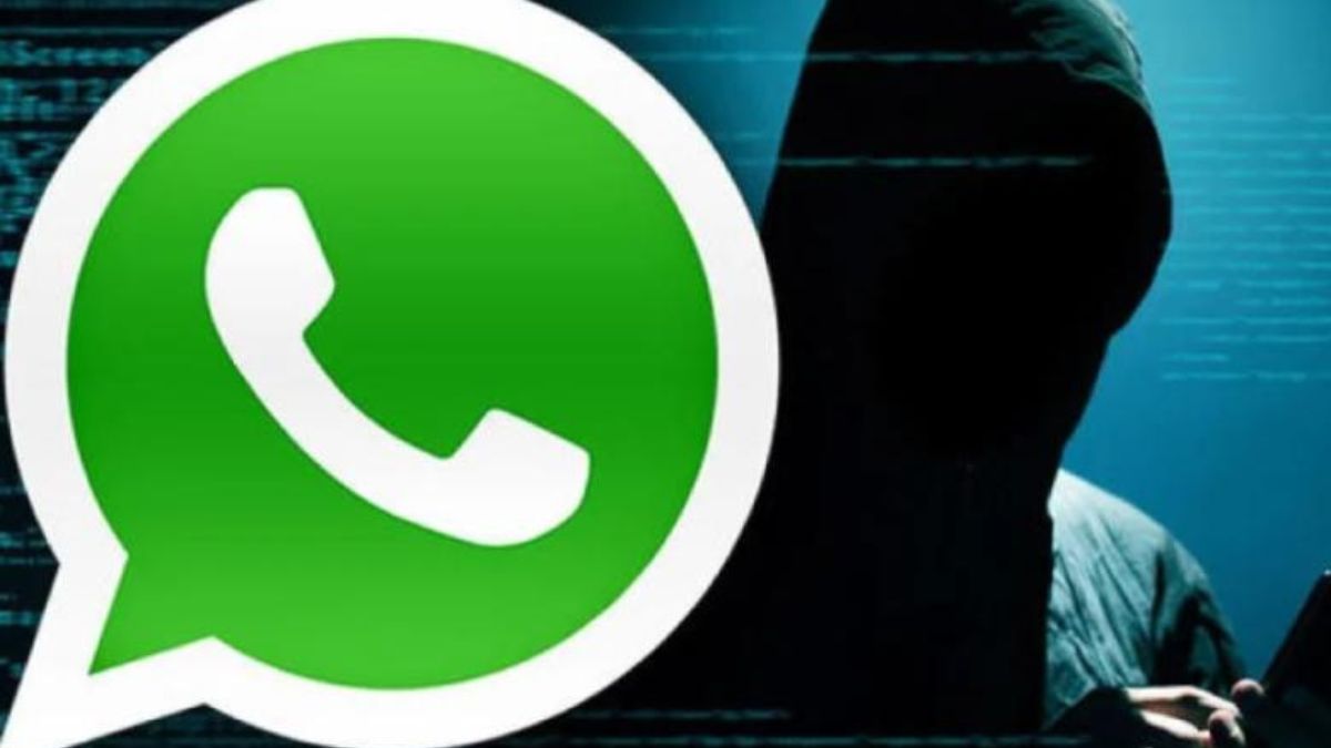 Unlocking Communication: How WhatsApp LogicalShout Transforms Messaging