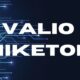 Valio Niketon: The Rising Star in Modern Fitness Trends