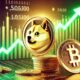 Dogecoin Price Forecast: Expert Insights for 2024 and Beyond