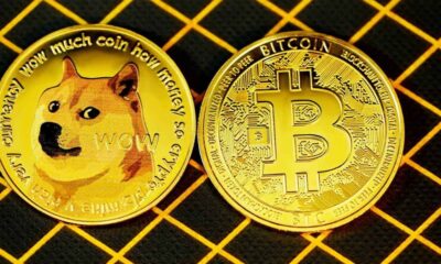 Understanding Shiba Inu Coin: The Rise of the Meme Cryptocurrency