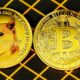 Understanding Shiba Inu Coin: The Rise of the Meme Cryptocurrency