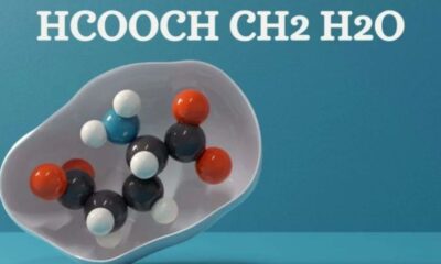 Understanding the Chemistry Behind hcooch ch2 h2o: A Dive into Its Structure and Properties